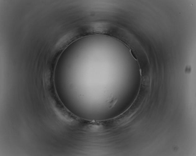 X0000093390552200710111517