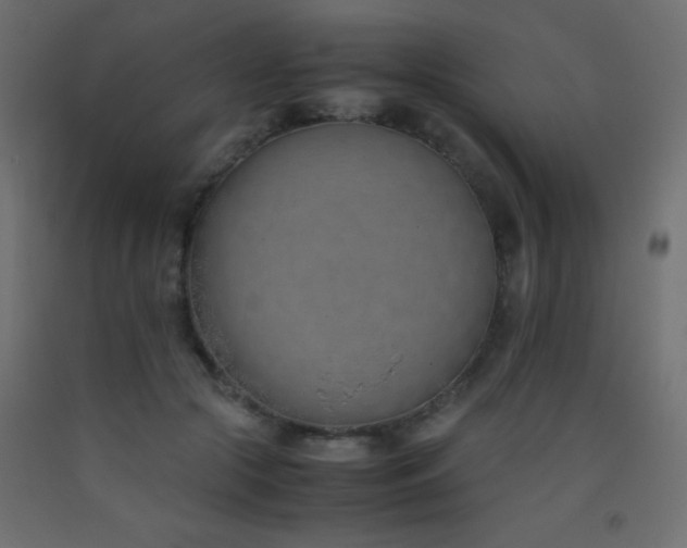 X0000093390553200710111517