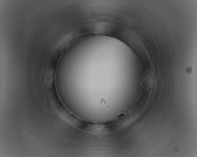 X0000093390554200710111517