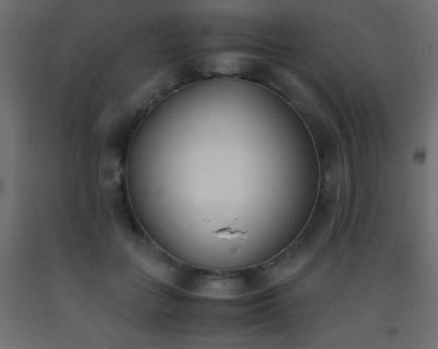 X0000093390555200710111517