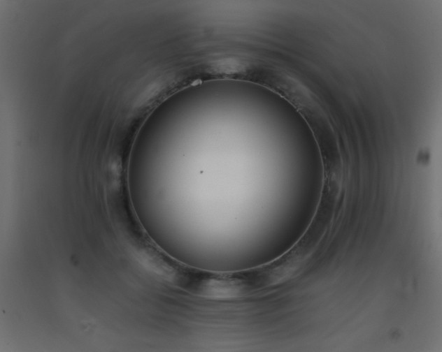 X0000093390556200710111517