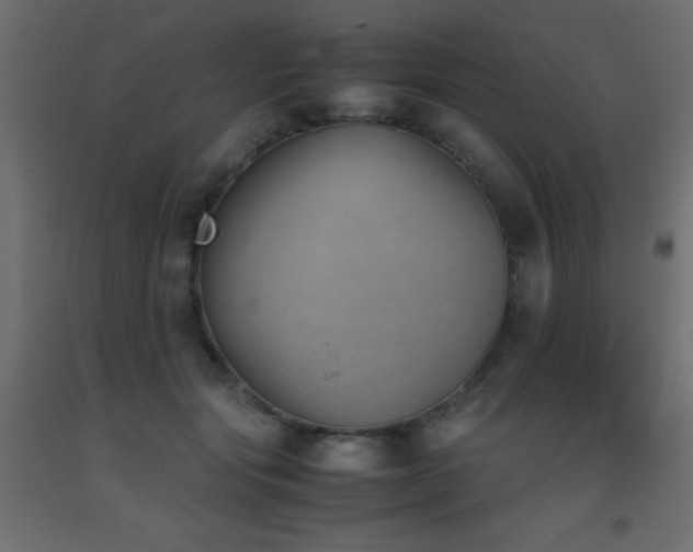 X0000093390557200710111517