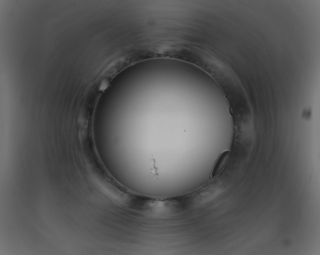 X0000093390558200710111517