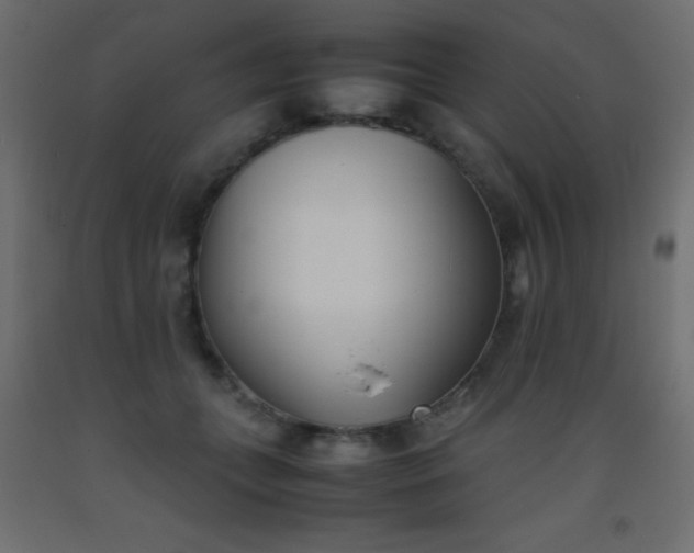 X0000093390559200710111517