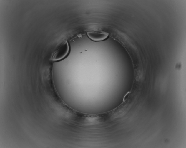 X0000093390560200710111517