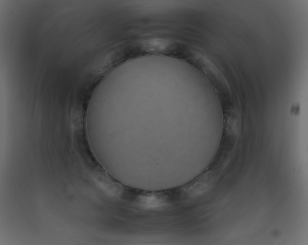 X0000093390561200710111517