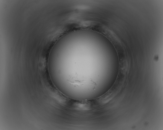 X0000093390563200710111517