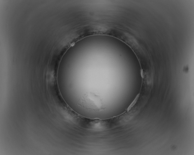 X0000093390564200710111517