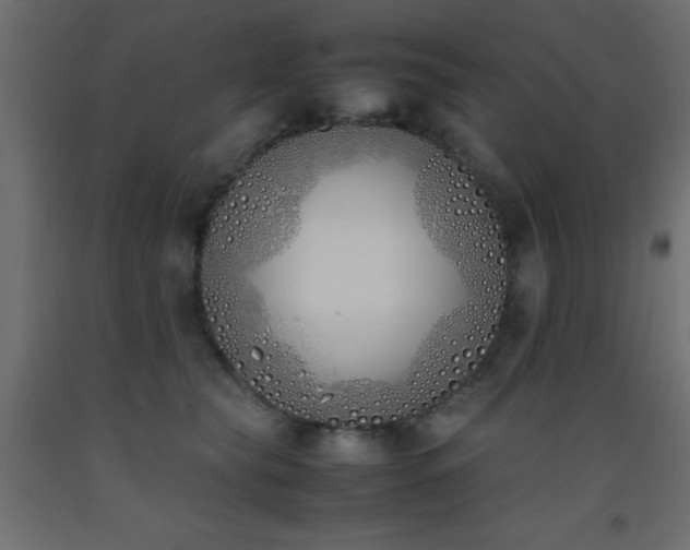 X0000093390565200710111517