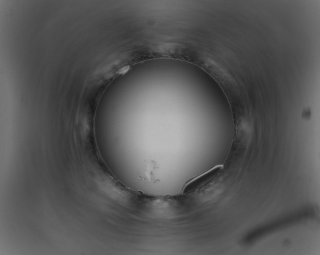 X0000093390566200710111517