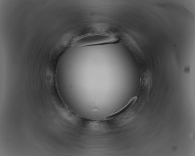 X0000093390568200710111517