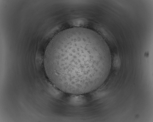 X0000093390569200710111517