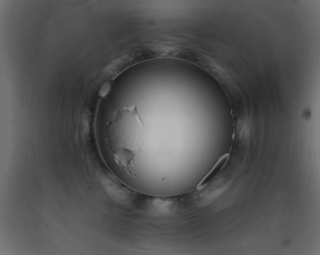 X0000093390570200710111517