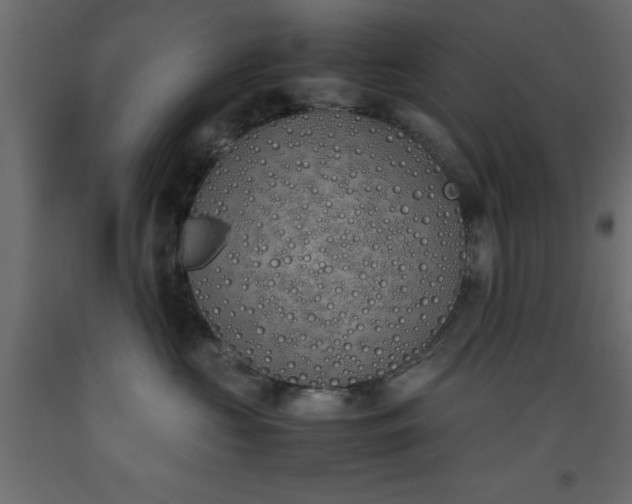 X0000093390573200710111517