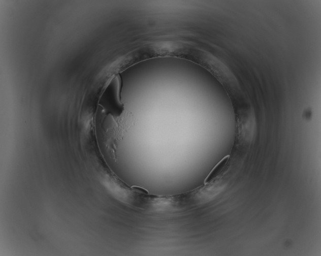 X0000093390574200710111517