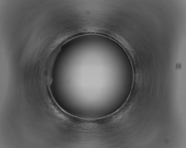 X0000093390577200710111517