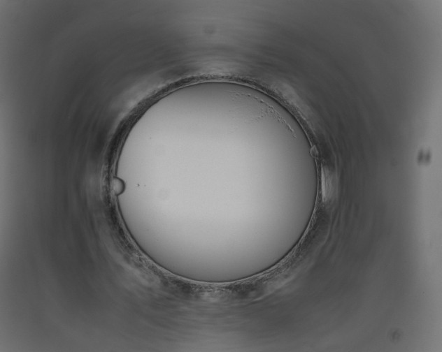 X0000093390579200710111517