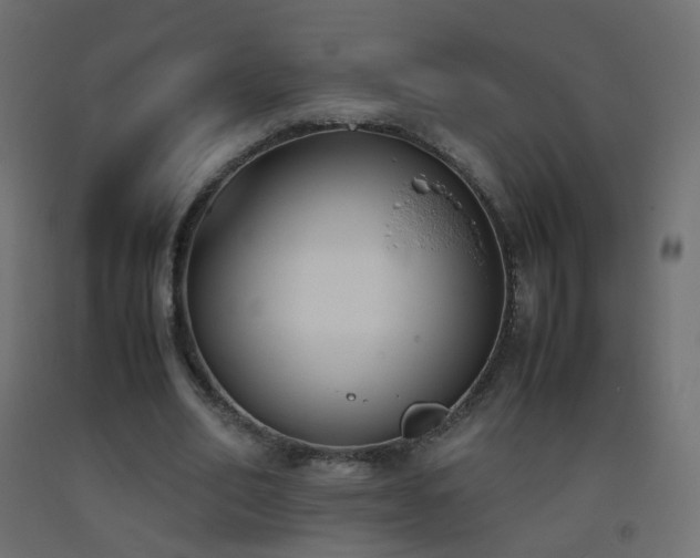 X0000093390582200710111517