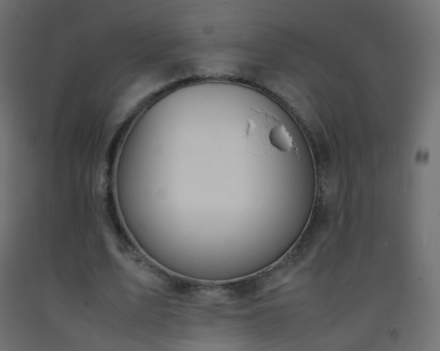 X0000093390583200710111517