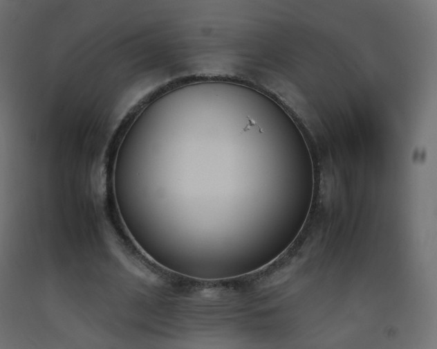 X0000093390584200710111517