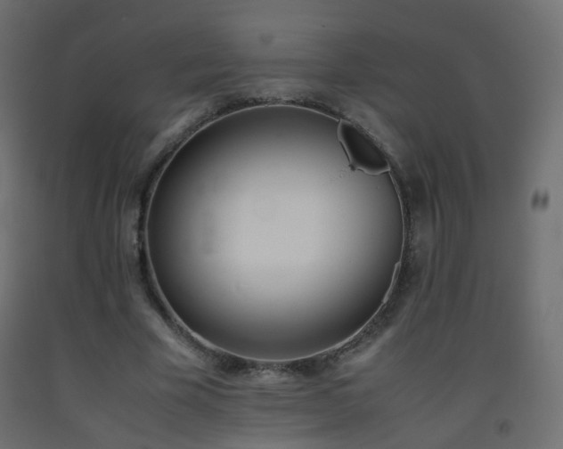 X0000093390585200710111517