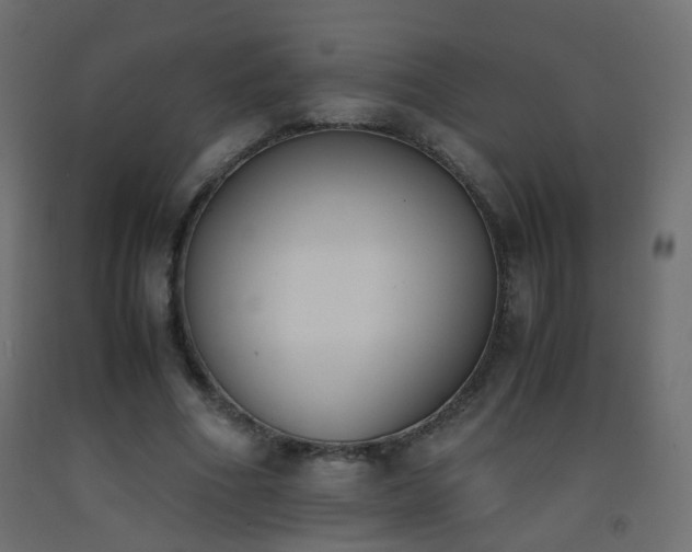 X0000093390586200710111517