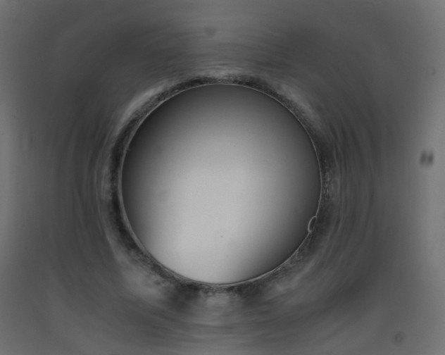 X0000093390587200710111517