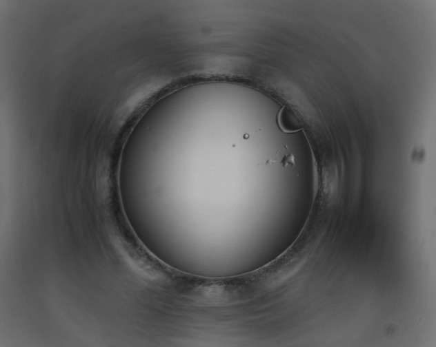 X0000093390588200710111517