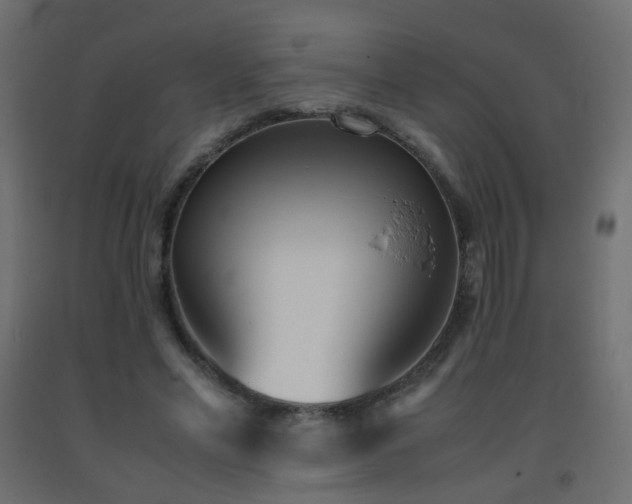 X0000093390589200710111517