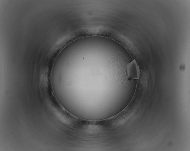 X0000093390590200710111517