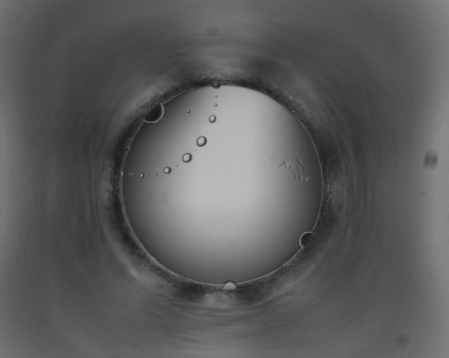 X0000093390591200710111517