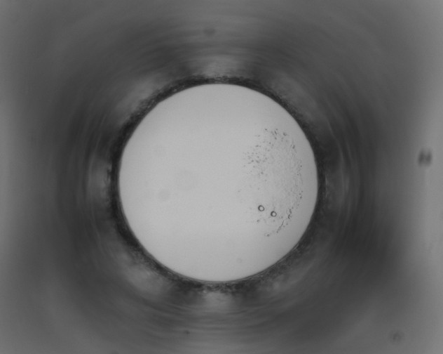 X0000093390592200710111517