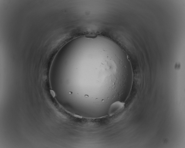 X0000093390593200710111517