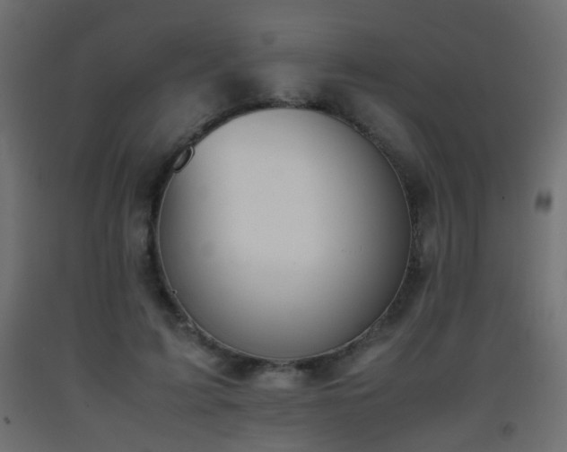 X0000093390595200710111516