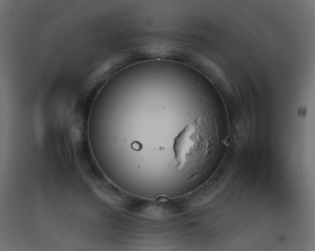 X0000093390596200710111516