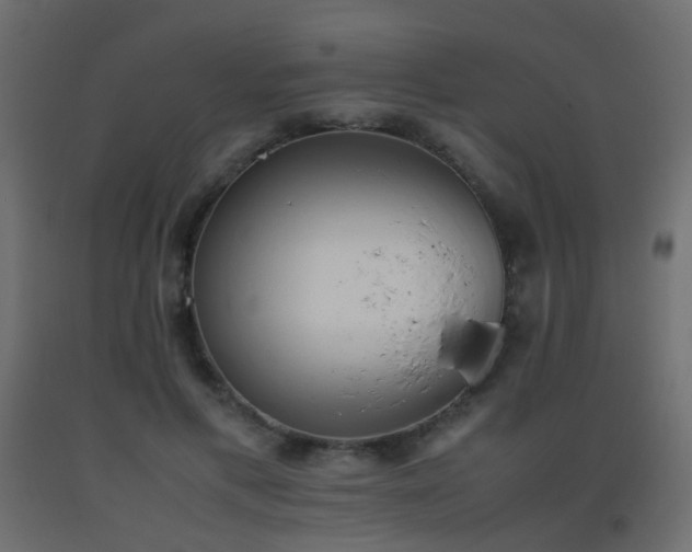 X0000093390597200710111516