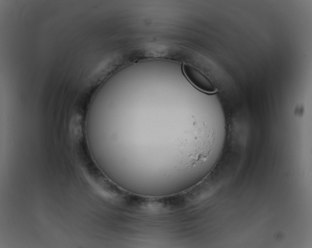 X0000093390598200710111516