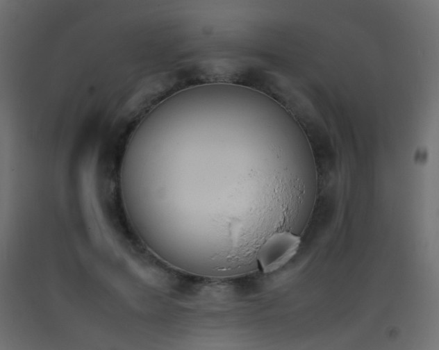 X0000093390599200710111516