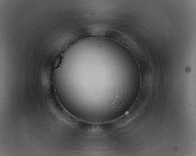 X0000093390600200710111516