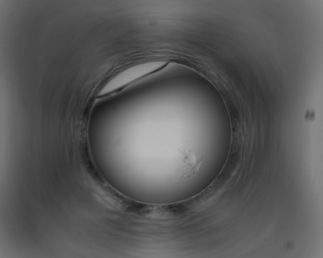 X0000093390601200710111516