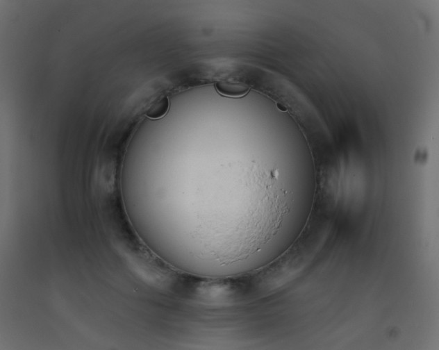 X0000093390602200710111516