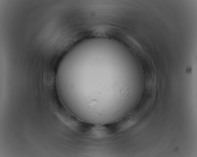 X0000093390603200710111516