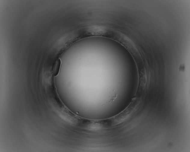 X0000093390604200710111516