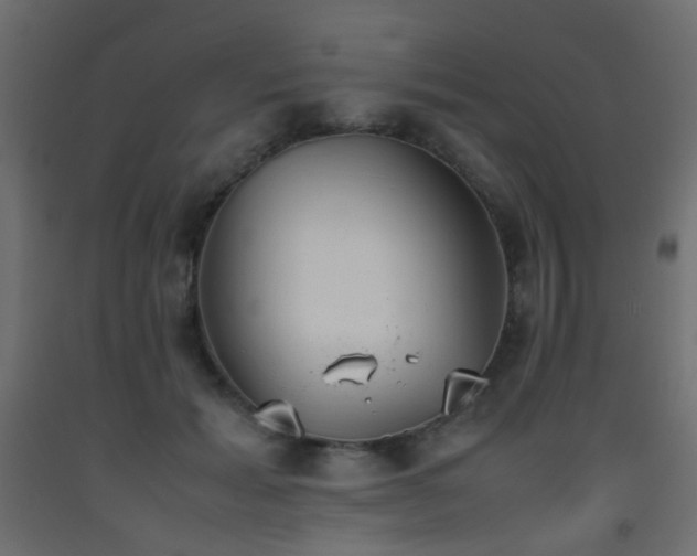 X0000093390605200710111516