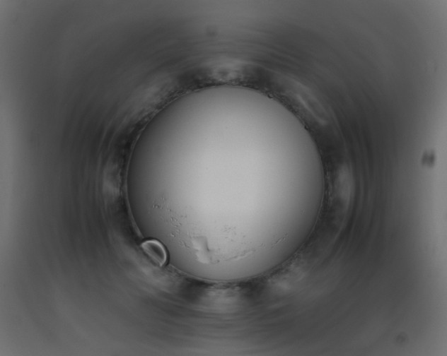 X0000093390606200710111516