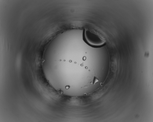 X0000093390608200710111516