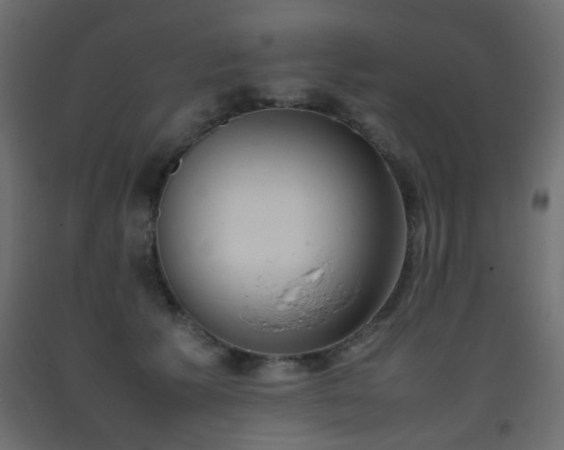 X0000093390609200710111516