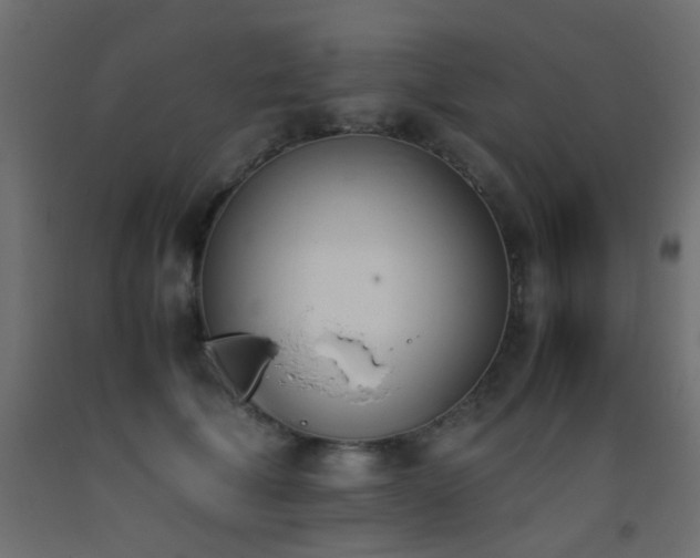 X0000093390610200710111516