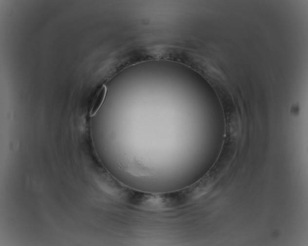 X0000093390611200710111516