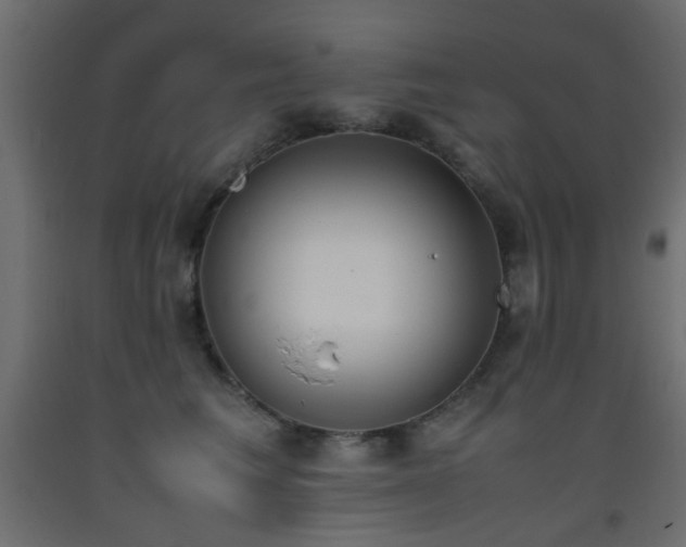 X0000093390613200710111516